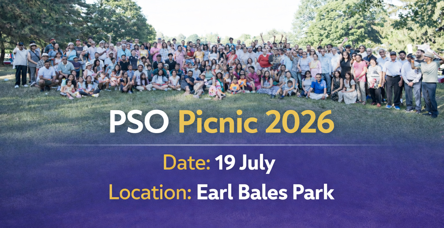 PSO Picnic 2026